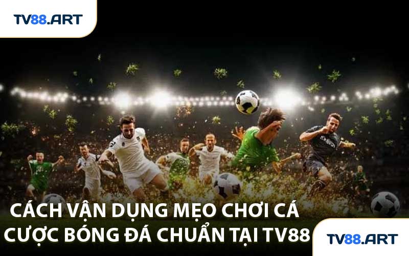 Cách Vận Dụng Mẹo Chơi Cá Cược Bóng Đá Chuẩn Tại TV88