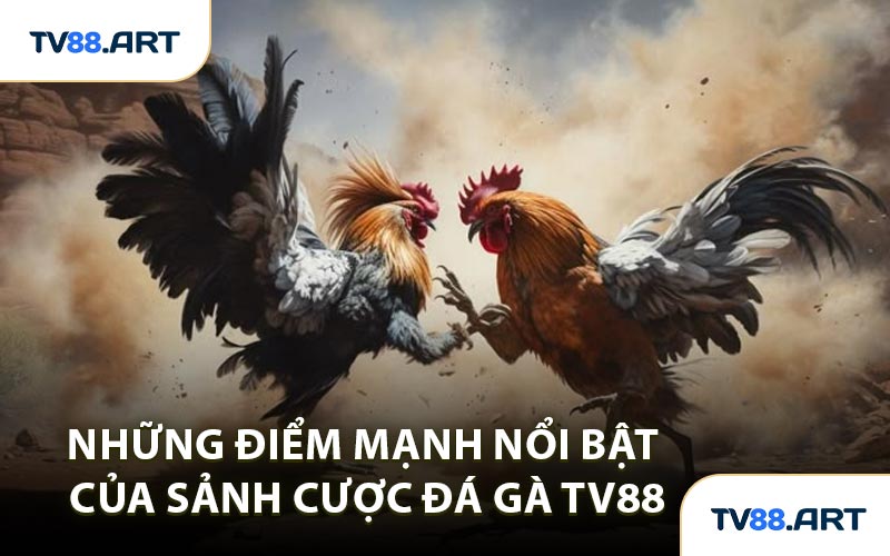 Những Điểm Mạnh Nổi Bật Của Sảnh Cược Đá Gà TV88