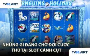 Những Gì Đang Chờ Đợi Cược Thủ Tại Slot Cánh Cụt