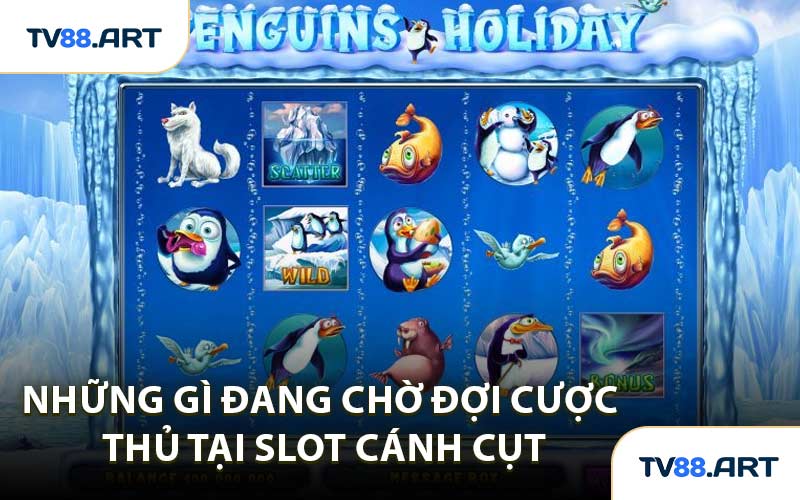 Những Gì Đang Chờ Đợi Cược Thủ Tại Slot Cánh Cụt