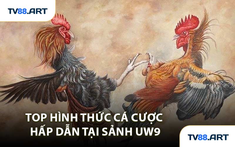 Top Hình Thức Cá Cược Hấp Dẫn Tại Sảnh UW9