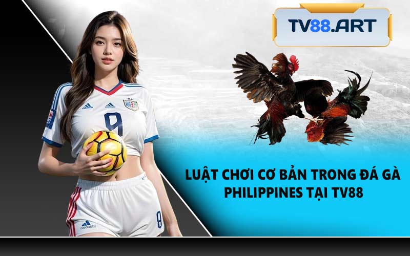 Luật Chơi Cơ Bản Trong Đá Gà Philippines Tại TV88